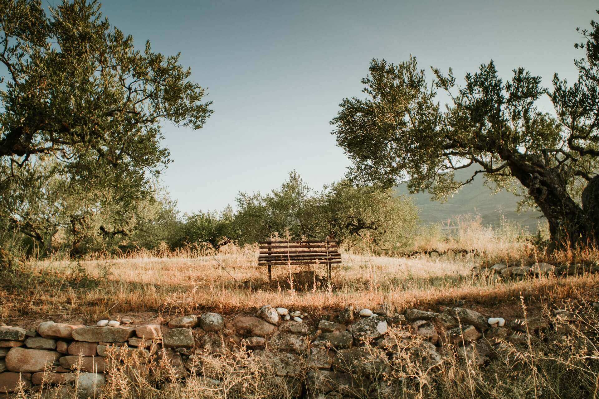 Απαράμιλλη ποιότητα